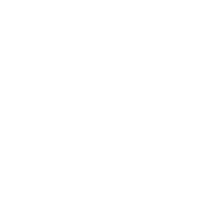 World Boxing Union